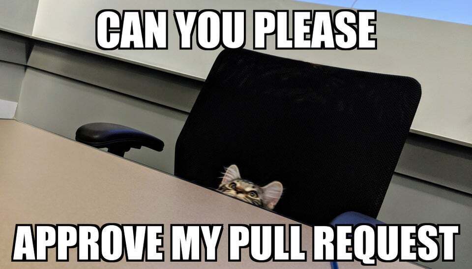 Can you please approve my pull request?